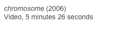 chromosome (2006)
Video, 5 minutes 26 seconds

View Video